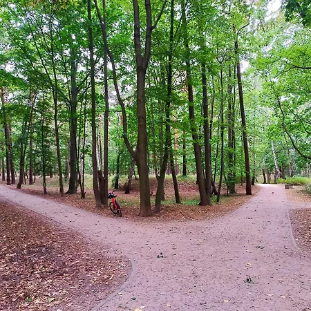 New Almanak * Danzica