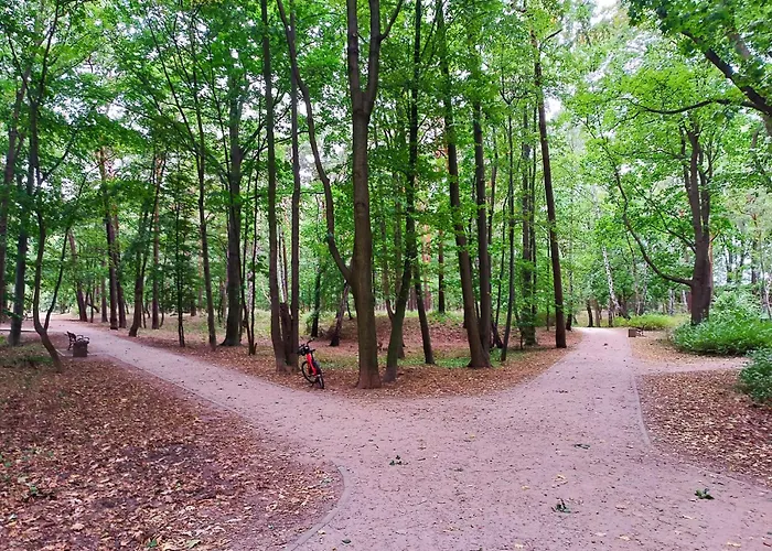 New Almanak * Gdańsk